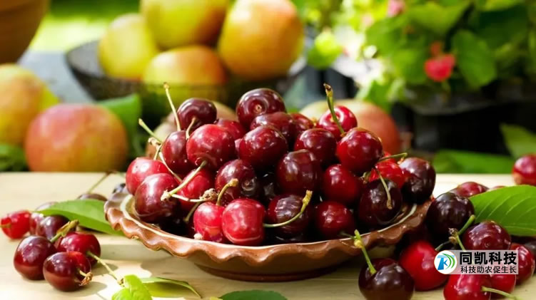 5fedc6d547196.jpg 02.jpg